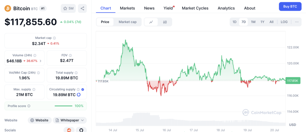 نمودار قیمت و اطلاعات بازار بیت کوین - منبع: CoinMarketCap